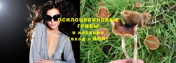 винт Алзамай