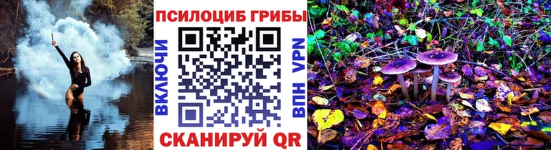 Галлюциногенные грибы GOLDEN TEACHER Кольчугино