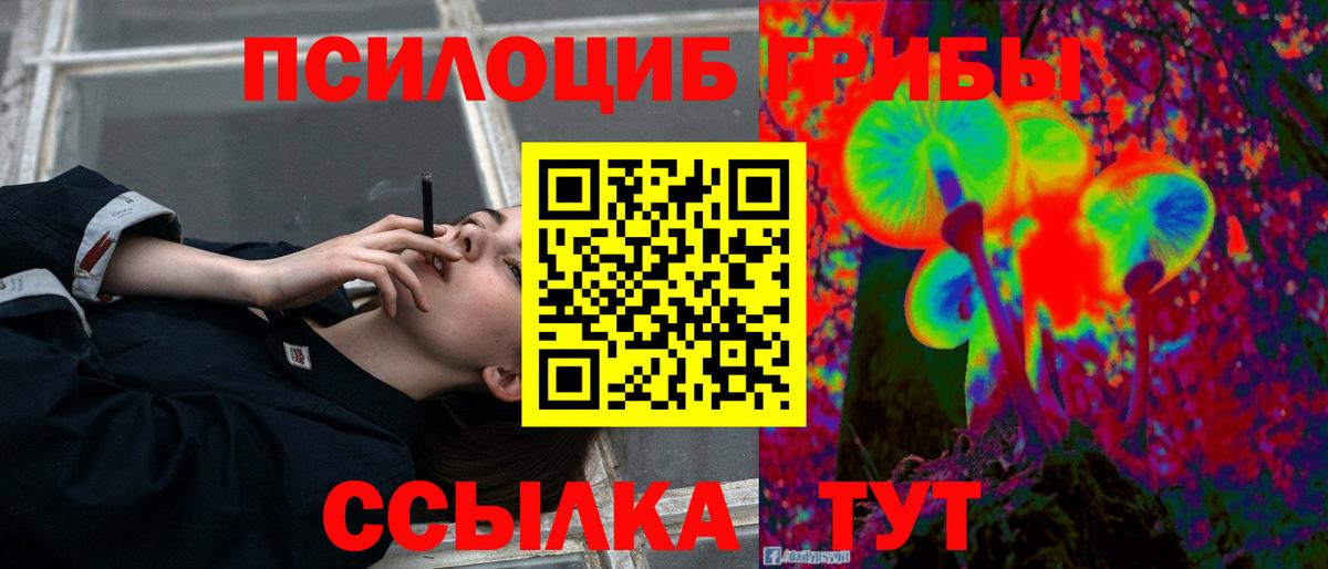 Кольчугино  Псилоцибиновые грибы Cubensis  Вход с VPN  Галлюциногенные грибы Psilocybe 